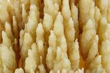 Alluring, Calcite/Aragonite Stalactite Formation - China #377337-4